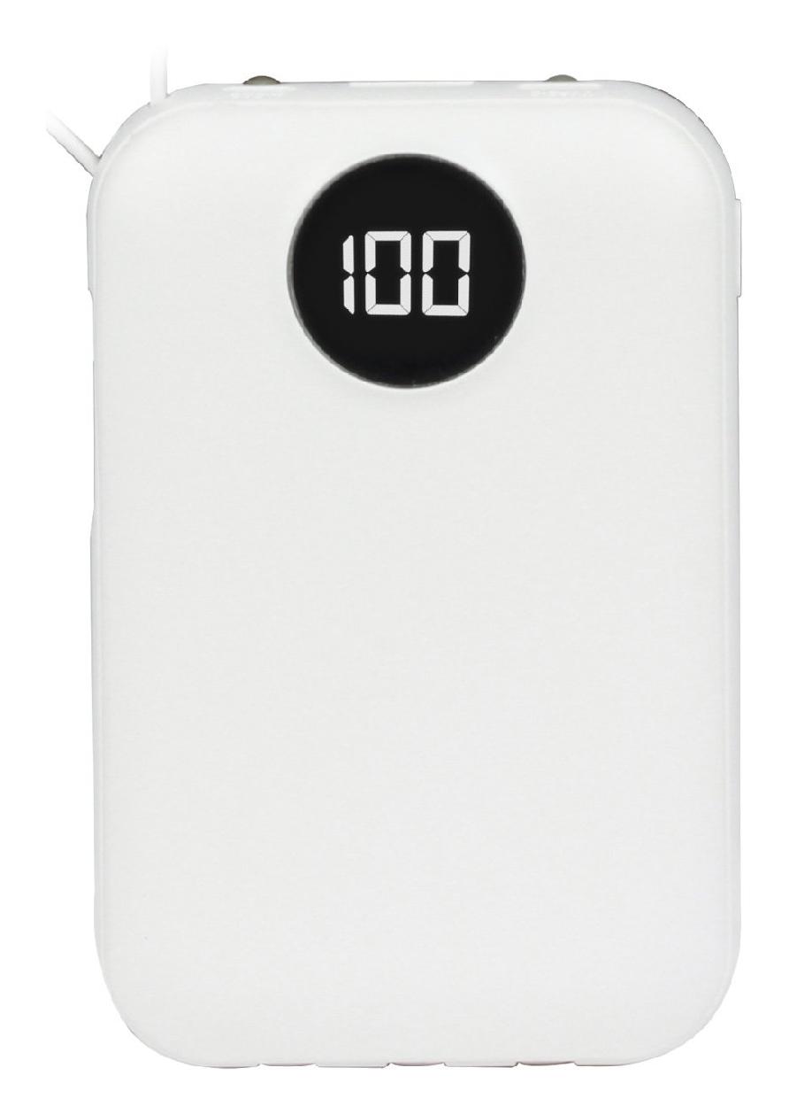 4306 POWERBANK